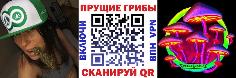 где продают наркотики  Венёв  Псилоцибиновые грибы прущие грибы 